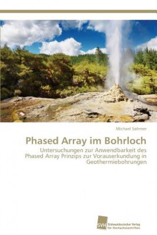 Carte Phased Array im Bohrloch Sohmer Michael