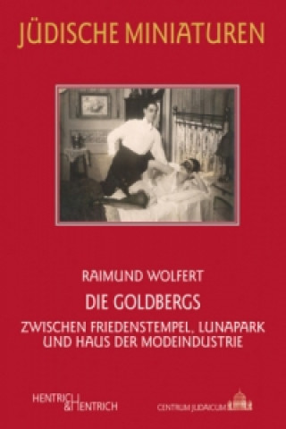 Kniha Die Goldbergs Raimund Wolfert