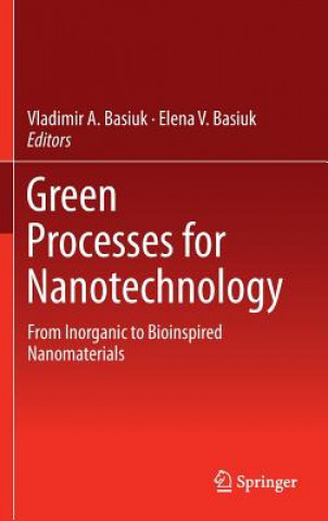 Könyv Green Processes for Nanotechnology Vladimir A. Basiuk