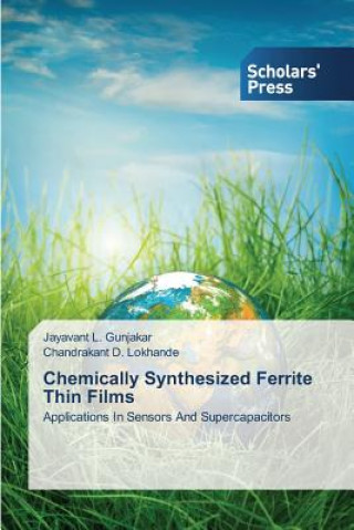 Kniha Chemically Synthesized Ferrite Thin Films Gunjakar Jayavant L