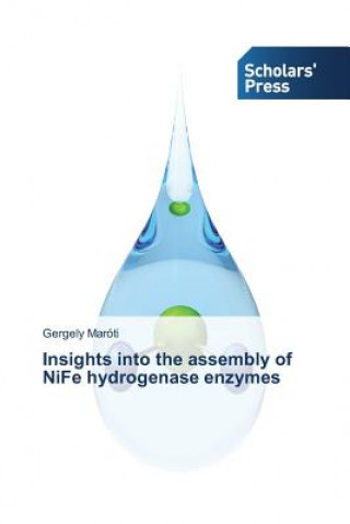 Книга Insights into the assembly of NiFe hydrogenase enzymes Maroti Gergely