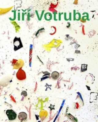 Книга Jiří Votruba Martin Dostál