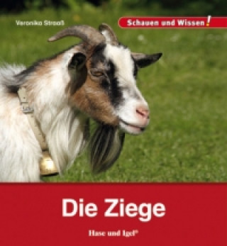 Kniha Die Ziege Veronika Straaß