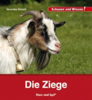 Buch Die Ziege Veronika Straaß
