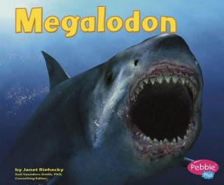 Carte Megalodon Janet Riehecky