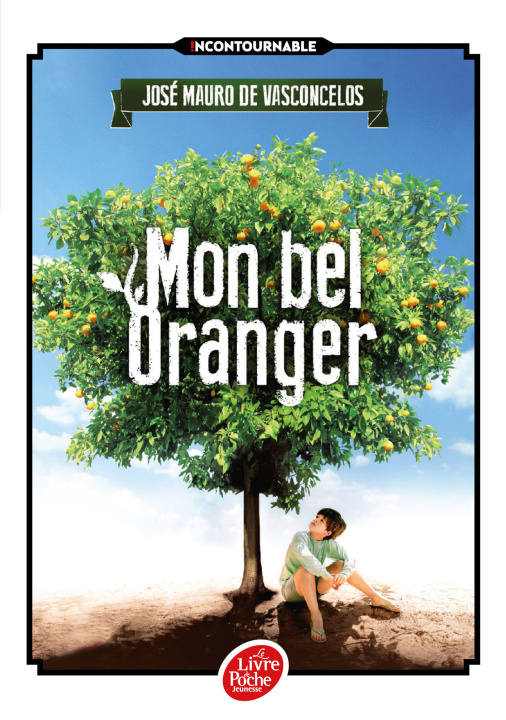 Livre Mon bel oranger Jose Mauro d Vasconcelos