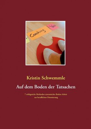 Kniha Auf dem Boden der Tatsachen Kristin Schwemmle