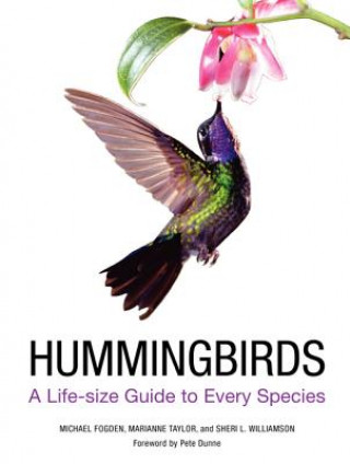Książka Hummingbirds Michael Fogden