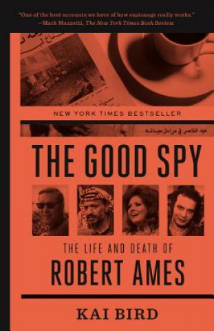 Kniha Good Spy Kai Bird