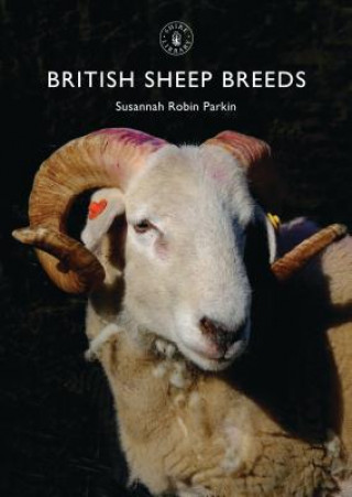 Carte British Sheep Breeds Susannah Parkin