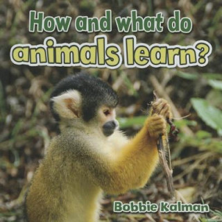 Kniha How and What Do Animals Learn Bobbie Kalman