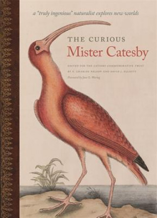 Kniha Curious Mister Catesby E Charles Nelson