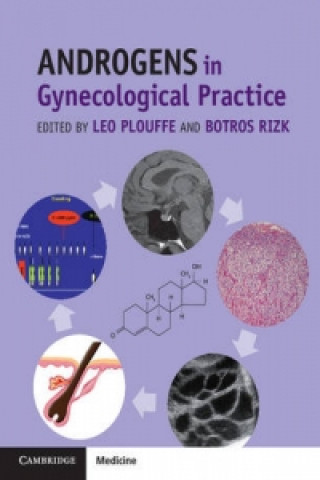 Livre Androgens in Gynecological Practice Leo Plouffe