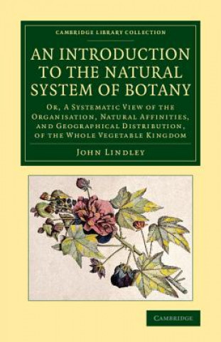 Kniha Introduction to the Natural System of Botany John Lindley