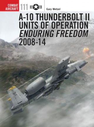 Carte A-10 Thunderbolt II Units of Operation Enduring Freedom 2008-14 Gary Wetzel