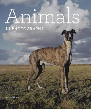 Knjiga Animals in Photographs Arpad Kovacs