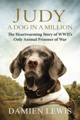 Kniha Judy: A Dog in a Million Damien Lewis