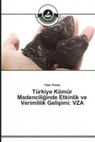 Kniha Turkiye Koemur Madencili&#287;inde Etkinlik ve Verimlilik Geli&#351;imi Yasar Kasap