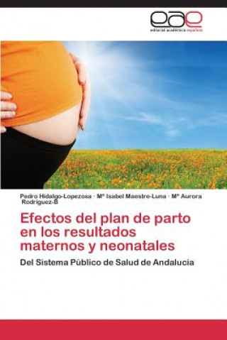 Buch Efectos del plan de parto en los resultados maternos y neonatales Hidalgo-Lopezosa Pedro