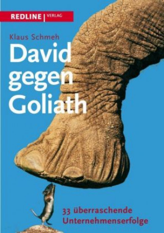 Kniha David gegen Goliath Klaus Schmeh