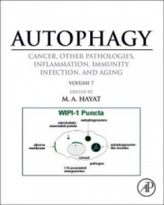 Könyv Autophagy: Cancer, Other Pathologies, Inflammation, Immunity, Infection, and Aging M Hayat