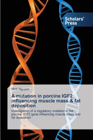 Könyv mutation in porcine IGF2 influencing muscle mass & fat deposition Nguyen Minh