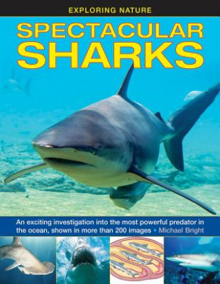 Carte Exploring Nature: Spectacular Sharks Michael Bright