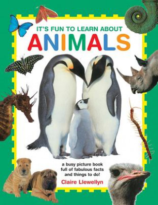 Livre It's Fun to Learn About Animals Claire Llewellyn