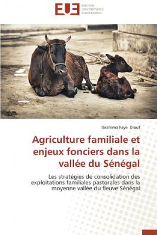 Kniha Agriculture Familiale Et Enjeux Fonciers Dans La Vall e Du S n gal Diouf-I