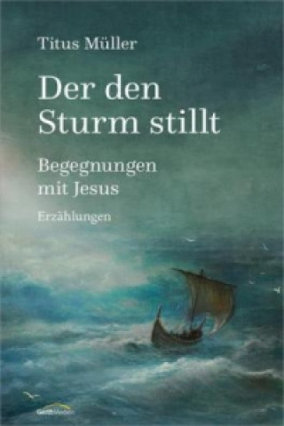 Knjiga Der den Sturm stillt Titus Müller