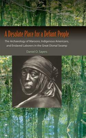 Libro Desolate Place for a Defiant People Daniel Sayers