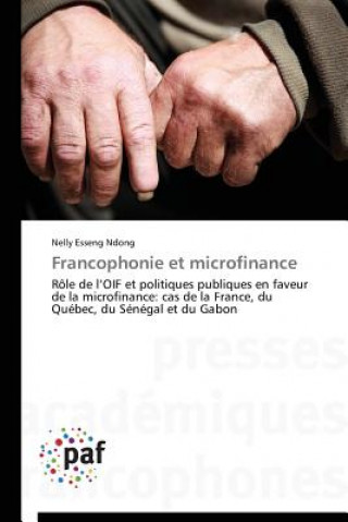 Kniha Francophonie Et Microfinance Ndong-N