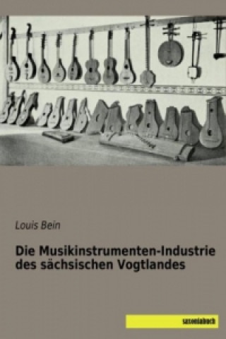 Könyv Die Musikinstrumenten-Industrie des sächsischen Vogtlandes Louis Bein