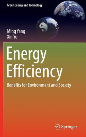 Kniha Energy Efficiency Ming Yang