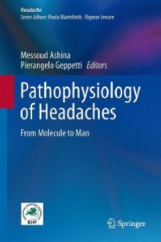 Könyv Pathophysiology of Headaches Messoud Ashina