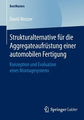 Kniha Strukturalternative fur die Aggregateaufrustung einer automobilen Fertigung David Motzer