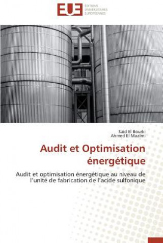 Βιβλίο Audit Et Optimisation  nerg tique 