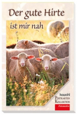 Könyv Der gute Hirte ist mir nah, Postkarten-Buch 