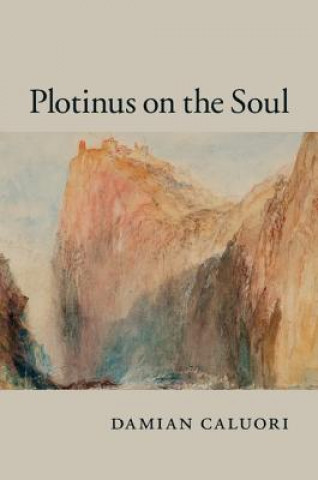 Kniha Plotinus on the Soul Damian Caluori