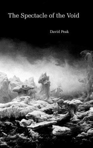 Kniha Spectacle of the Void David Peak