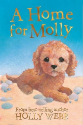 Kniha Home for Molly Holly Webb