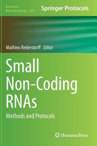 Knjiga Small Non-Coding RNAs Mathieu Rederstorff