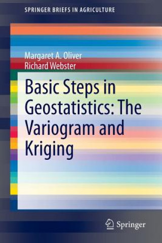 Könyv Basic Steps in Geostatistics: The Variogram and Kriging Margaret A. Oliver