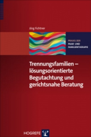 Carte Trennungsfamilien - lösungsorientierte Begutachtung und gerichtsnahe Beratung Jörg Fichtner