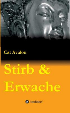 Knjiga Stirb & Erwache Cat Avalon