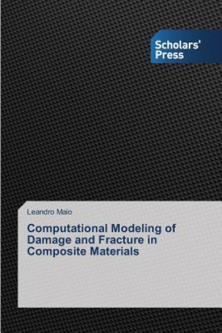 Könyv Computational Modeling of Damage and Fracture in Composite Materials Maio Leandro
