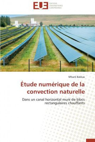 Libro tude Num rique de la Convection Naturelle Bakkas-M