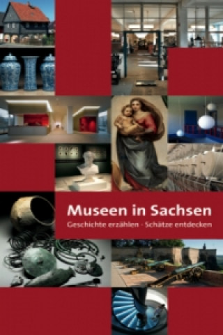 Kniha Museen in Sachsen 