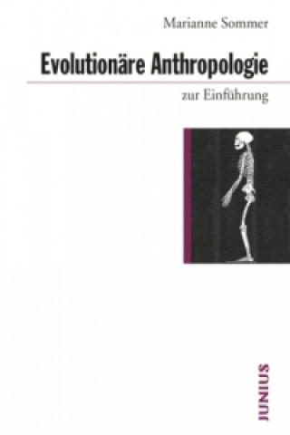Kniha Evolutionäre Anthropologie zur Einführung Marianne Sommer