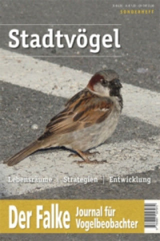 Könyv Stadtvögel 